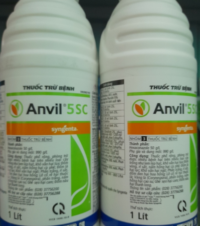 Anvil 5SC