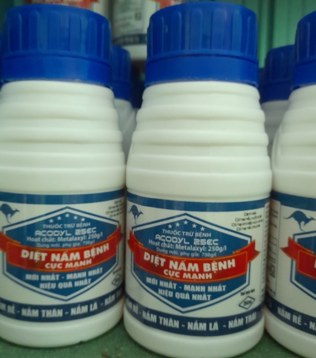 Diet nam benh