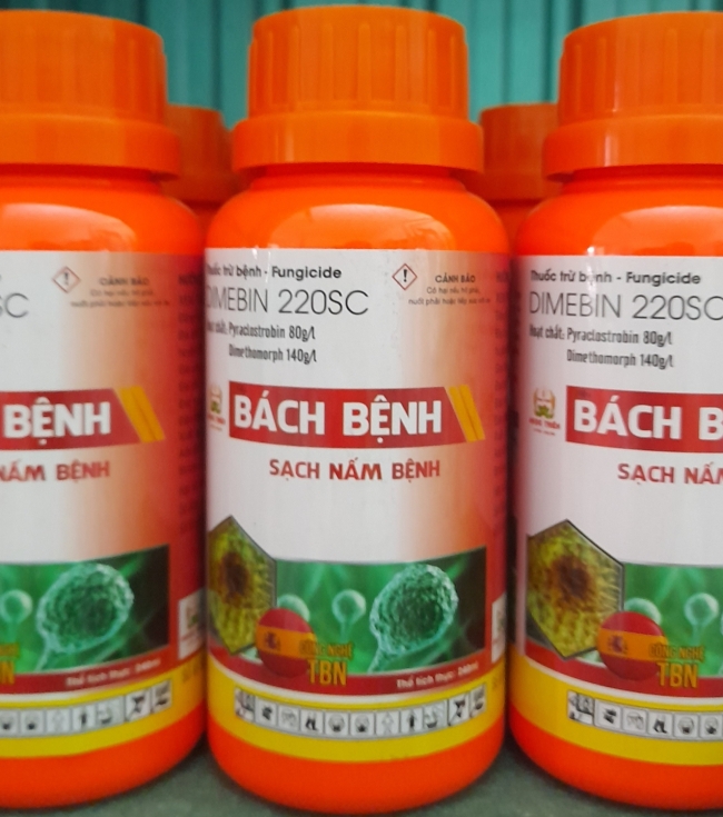 Bách bệnh