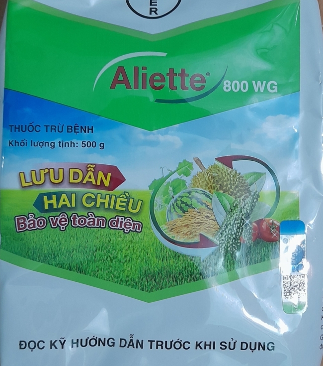 Aliette