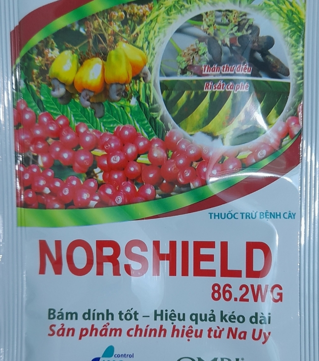 Norshield