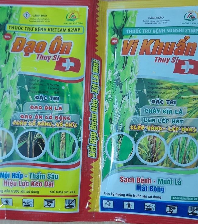 Cặp đạo ôn, vi khuẩn