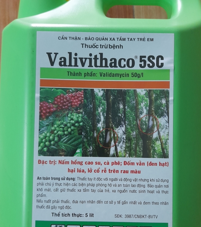Valy 5SL