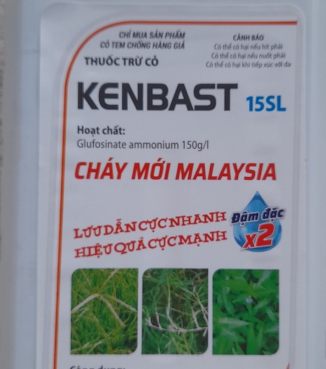 Kenbast 150SL