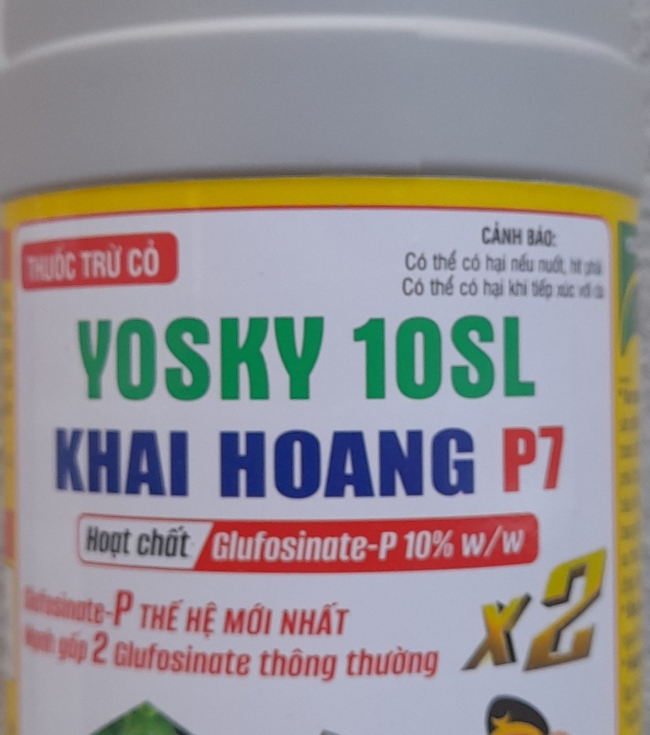 Yosky 10 SL