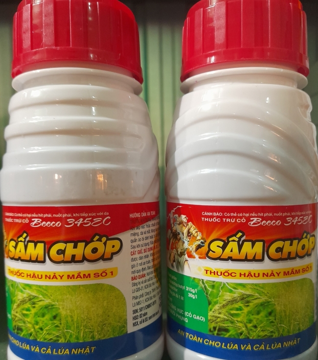 Sấm chớp 