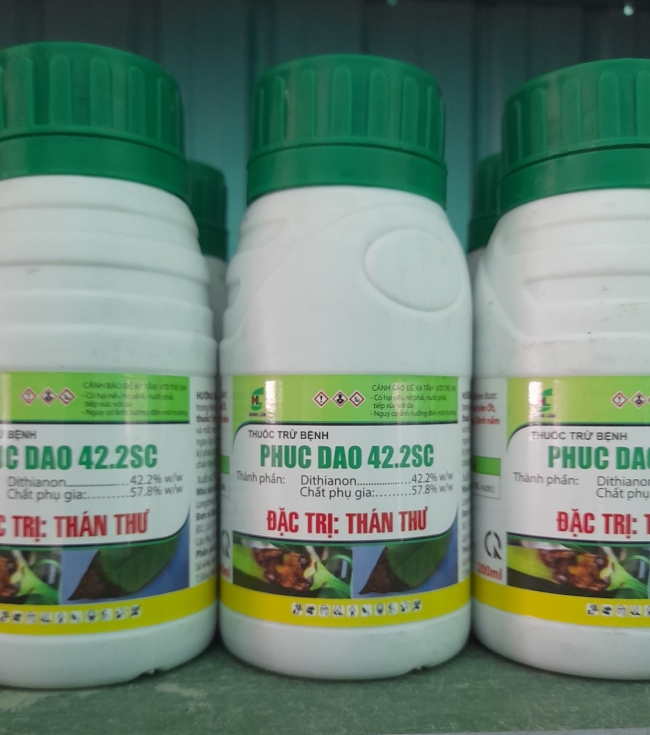 Phuc dao