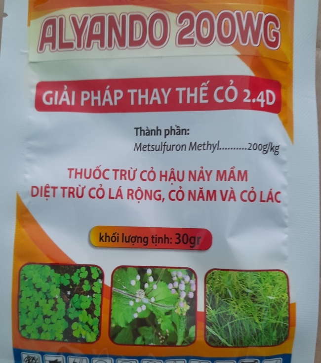 Alyando 200WG