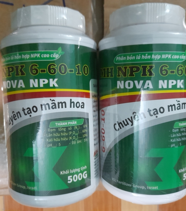 Siêu tạo mầm hoa