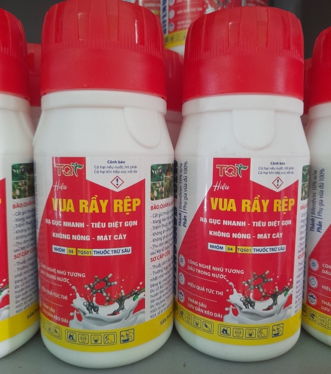 Vua rầy rệp