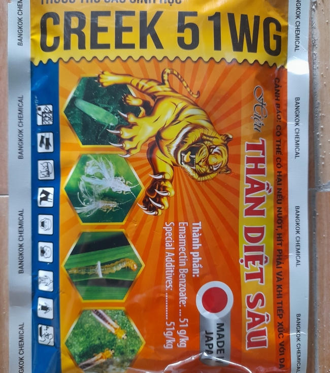 Creek