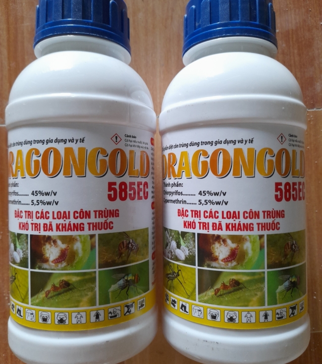 Dragon gold