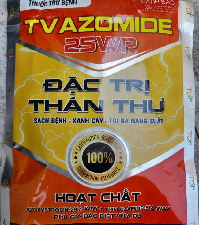 Thán thư