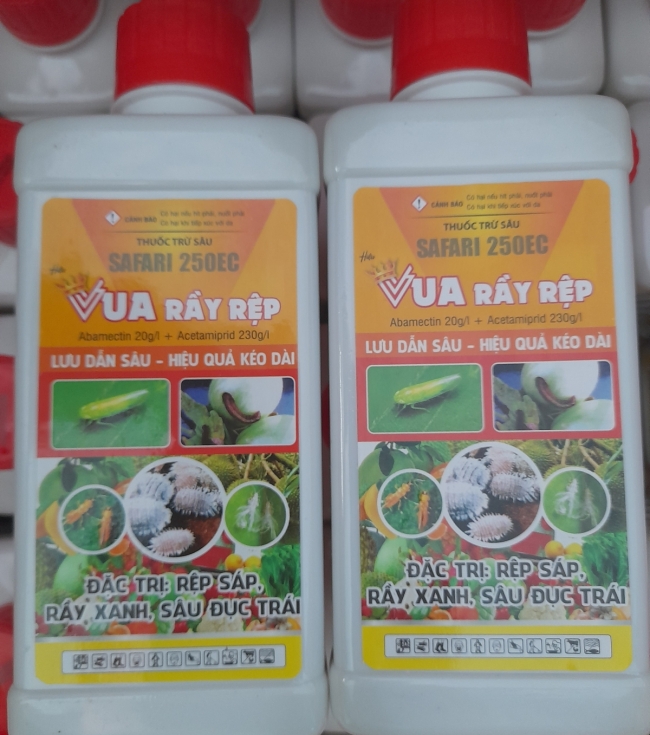 Rệp sáp