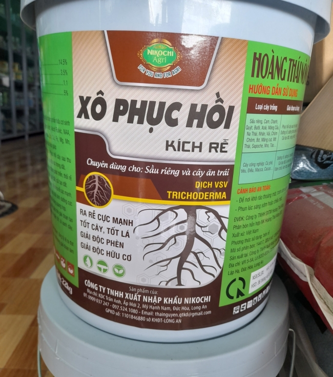 Xô phục hồi