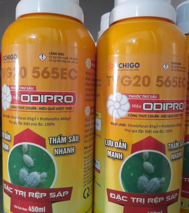 ODiPRO