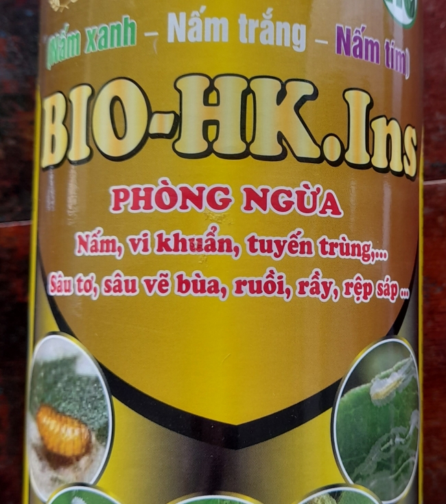 Nấm 3 màu