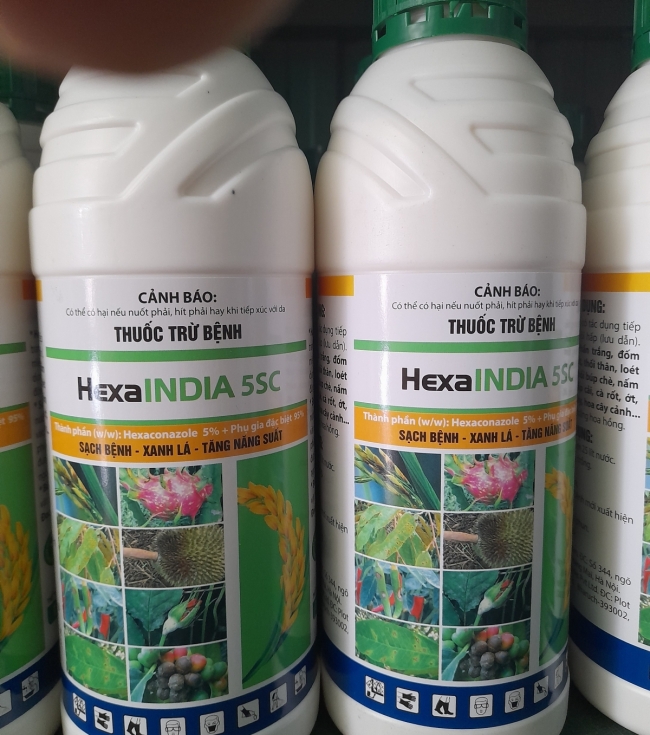 HexaINDIA 5SC