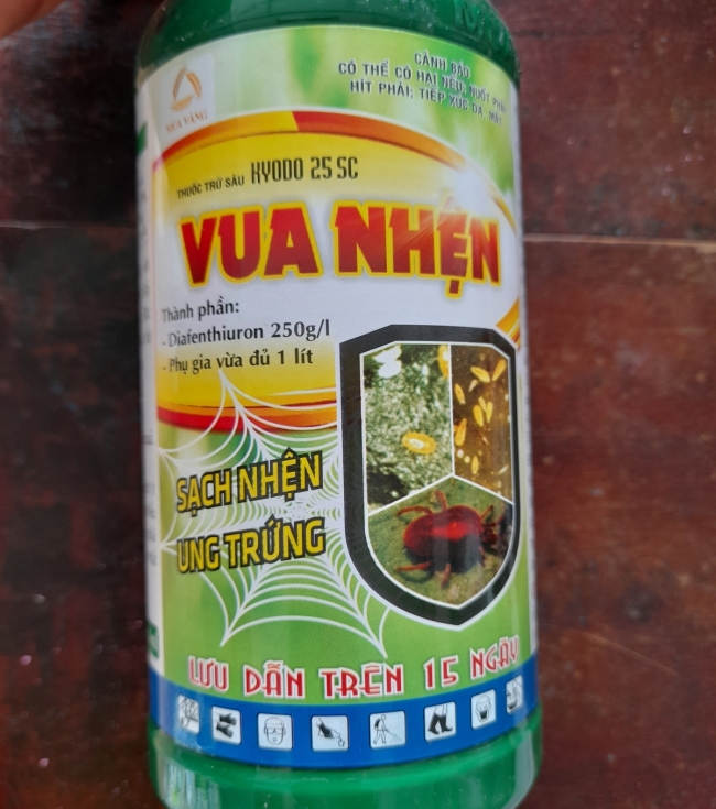 Vua nhện