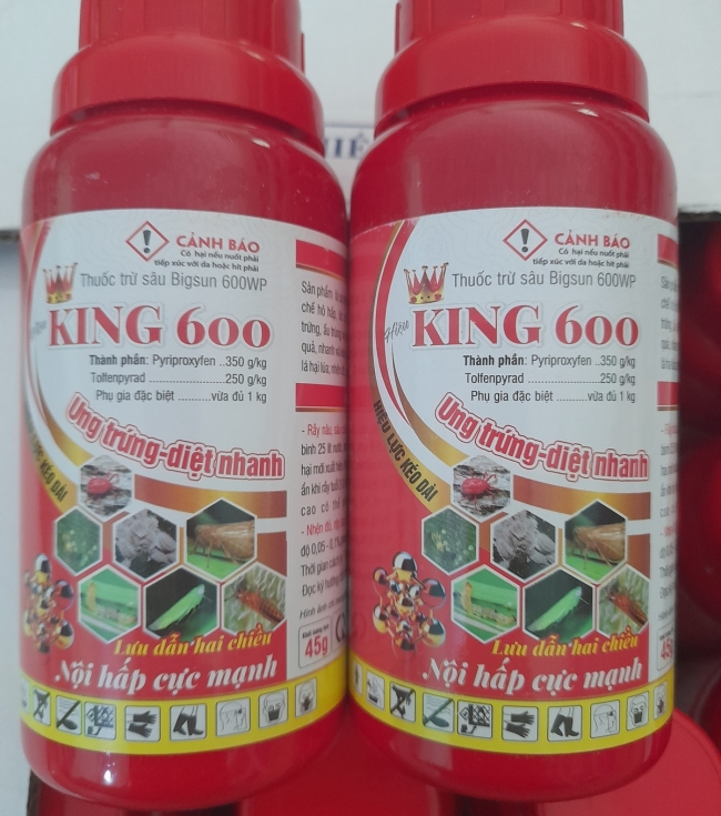 KING 600