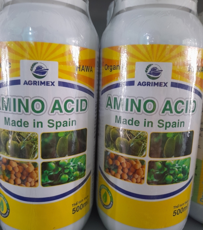 Amino Spain