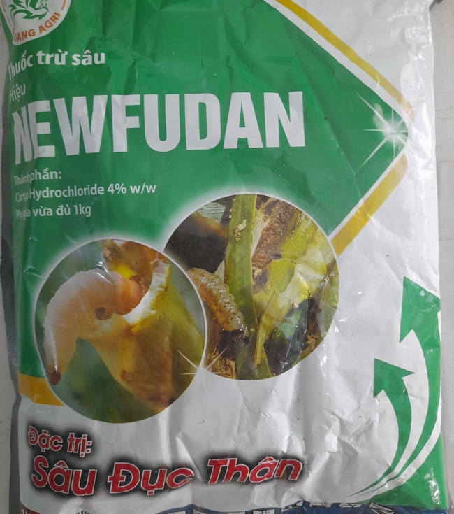 Newfudan