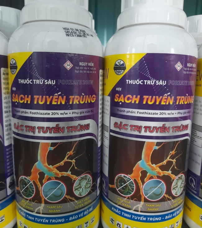 Sạch tuyến trùng