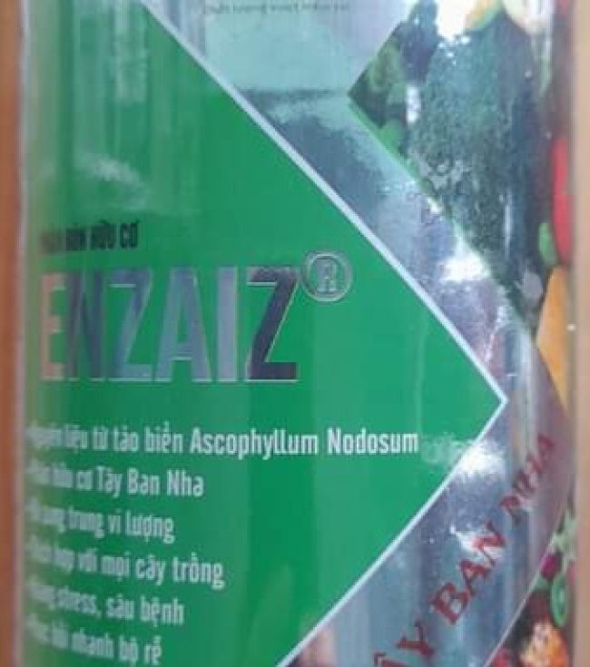 Enzaiz