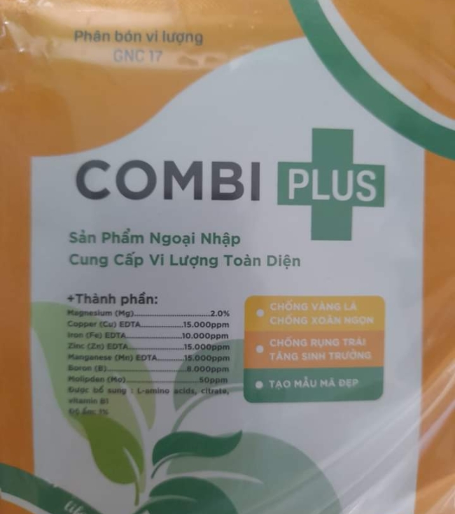 Combi
