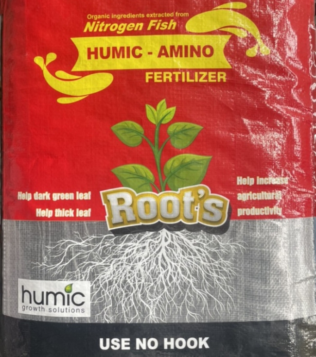 Root