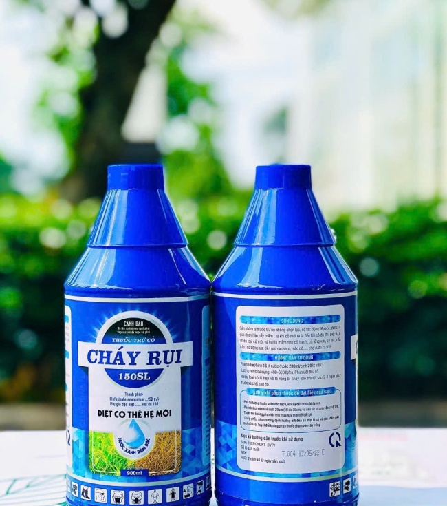 Cỏ cháy