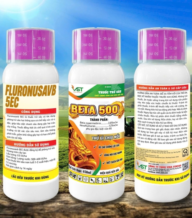 BETA 500
